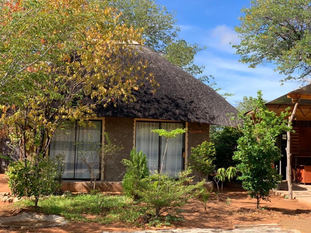 קסנה Jungle Breeze Home Stay מראה חיצוני תמונה