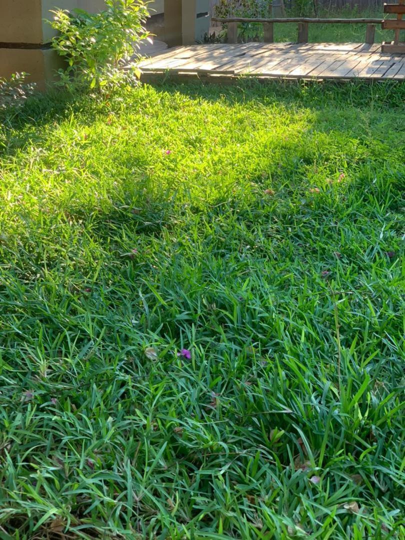 קסנה Jungle Breeze Home Stay מראה חיצוני תמונה